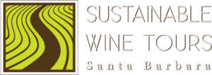 How Sustainable Wine Tours Saw a 13x Increase in Clicks​